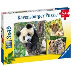 Dėlionė galvosūkis Laukinė gamta Ravensburger 3x49. kaina ir informacija | Dėlionės (puzzle) | pigu.lt