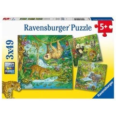 Dėlionių rinkinys Ravensburger Džiunglių linksmybės, 3x49 d. kaina ir informacija | Dėlionės (puzzle) | pigu.lt