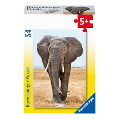 Mini dėlionė Egzotiški gyvūnai Ravensburger 54 vnt. kaina ir informacija | Dėlionės (puzzle) | pigu.lt