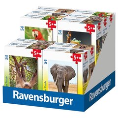 Мини-пазл Ravensburger 54 шт., экзотические животные цена и информация | Пазлы | pigu.lt