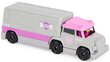 Žaislinis sunkvežimis Paw Patrol Skye Mini Big Truck Pups True Metal цена и информация | Žaislai mergaitėms | pigu.lt