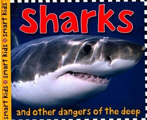 Sharks: Smart Kids цена и информация | Книги для подростков и молодежи | pigu.lt