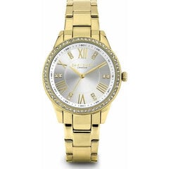 Laikrodis moterims Daisy Dixon DD106GM S0376158 цена и информация | Женские часы | pigu.lt