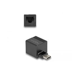 Delock 66462 kaina ir informacija | Adapteriai, USB šakotuvai | pigu.lt