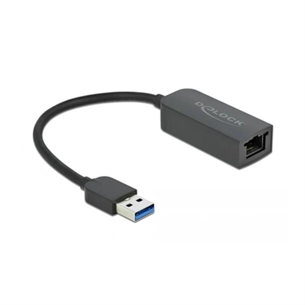 Delock 66646 цена и информация | Adapteriai, USB šakotuvai | pigu.lt