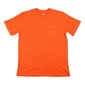 Marškinėliai vyrams Brixton 22098, oranžiniai kaina ir informacija | Vyriški marškinėliai | pigu.lt