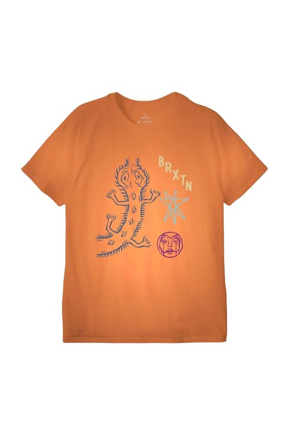 Marškinėliai vyrams Brixton 16852, oranžiniai kaina ir informacija | Vyriški marškinėliai | pigu.lt