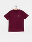 Marškinėliai vyrams Brixton 16410BRG3D, raudoni kaina ir informacija | Vyriški marškinėliai | pigu.lt