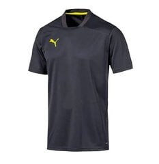 Puma marškinėliai vyrams 656423 02, juodi цена и информация | Мужская спортивная одежда | pigu.lt