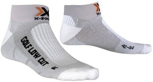 Kojinės moterims X-Socks, pilkos цена и информация | Женские носки | pigu.lt