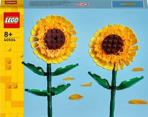 LEGO Iconic Подсолнухи 40524 цена и информация | Конструкторы и кубики | pigu.lt