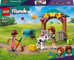 42607 LEGO® Friends Otum karvutės pašiūrė kaina ir informacija | Konstruktoriai ir kaladėlės | pigu.lt