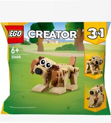 30666 LEGO® Creator Gyvūnai-dovana kaina ir informacija | Konstruktoriai ir kaladėlės | pigu.lt