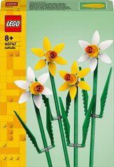 40747 LEGO® narcizai Šventinė dovana kaina ir informacija | Konstruktoriai ir kaladėlės | pigu.lt