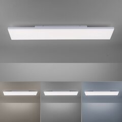 Paul Neuhaus lubinis šviestuvas Frameless kaina ir informacija | Lubiniai šviestuvai | pigu.lt