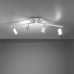 Paul Neuhaus lubinis šviestuvas Pure-Mira цена и информация | Потолочные светильники | pigu.lt