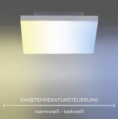 Paul Neuhaus lubinis šviestuvas Frameless цена и информация | Потолочные светильники | pigu.lt