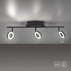 Paul Neuhaus lubinis šviestuvas Sileda цена и информация | Потолочные светильники | pigu.lt