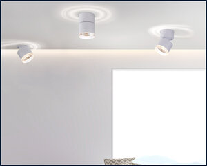 Paul Neuhaus lubinis šviestuvas Pure-Nola kaina ir informacija | Lubiniai šviestuvai | pigu.lt