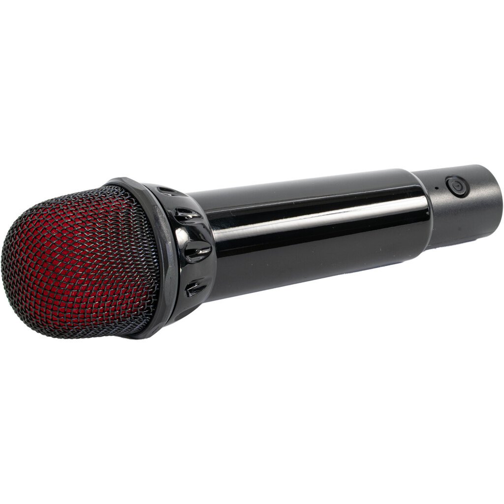 KARAHOME-BK kolonėlė su 2 bevieliais mikrofonais kaina ir informacija | Garso kolonėlės | pigu.lt