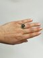 Sidabrinis žiedas su gintaru, Amber Storm kaina ir informacija | Žiedai | pigu.lt