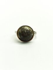 Серебряное кольцо с янтарем, Amber Storm цена и информация | Кольца | pigu.lt