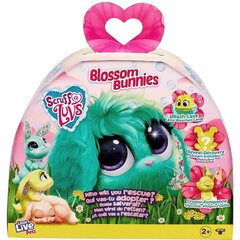 Pliušinis triušis Little Live Pets Scruff a Luvs Blossom Bunnies Surprise Bunny цена и информация | Мягкие игрушки | pigu.lt