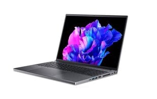Acer Swift SFX16-61G-R21B (NX.KFPEL.001) цена и информация | Ноутбуки | pigu.lt