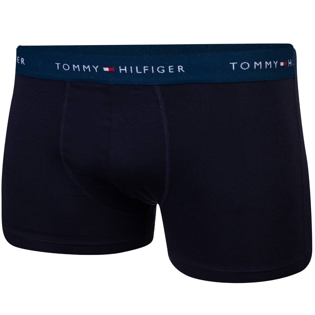 Trumpikės vyrams Tommy Hilfiger, įvairių spalvų, 3 vnt. цена и информация | Trumpikės | pigu.lt