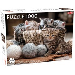 Dėlionė Kačiukai Tactic, 1000d. kaina ir informacija | Dėlionės (puzzle) | pigu.lt