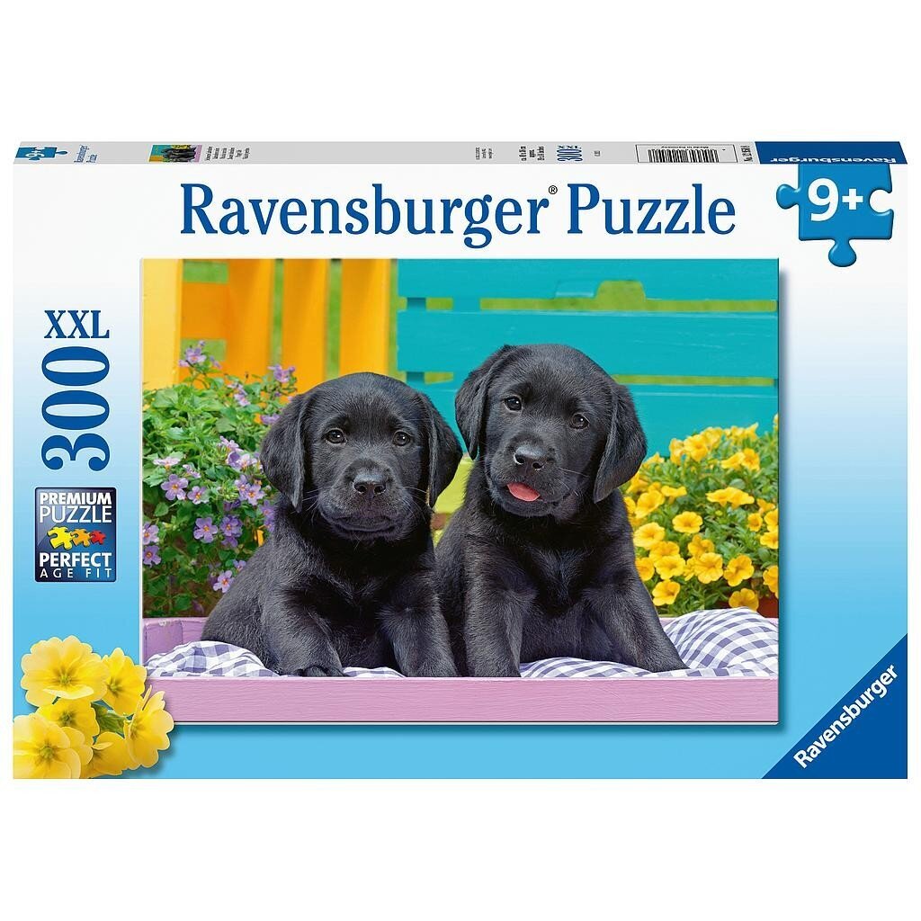 Dėlionė Ravensburger Šuniukai, 300 d. kaina ir informacija | Dėlionės (puzzle) | pigu.lt