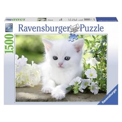 Dėlionė kačiukas Ravensburger, 1500 d. kaina ir informacija | Dėlionės (puzzle) | pigu.lt