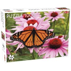 Dėlionė Tactic Monarch Butterfly, 1000d. kaina ir informacija | Dėlionės (puzzle) | pigu.lt