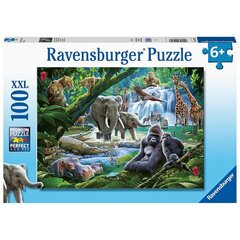 Dėlionė Ravensburger Džiunglių šeima, 100 d. kaina ir informacija | Dėlionės (puzzle) | pigu.lt