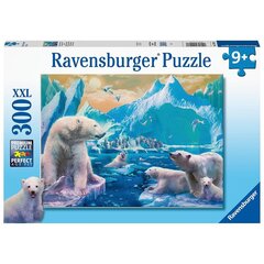 Dėlionė Ravensburger Baltasis lokys, 300 d. kaina ir informacija | Dėlionės (puzzle) | pigu.lt