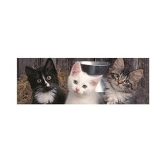 Пазл «Дино» панорамный, 150 шт., котёнок цена и информация | Пазлы | pigu.lt