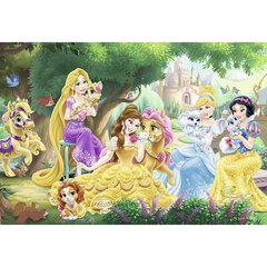 Dėlionės Princesių draugystė Ravensburger, 2x24d. kaina ir informacija | Dėlionės (puzzle) | pigu.lt