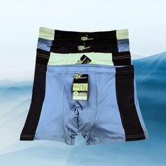 Комплект мужских шорт, 4 шт. цена и информация | Трусы | pigu.lt