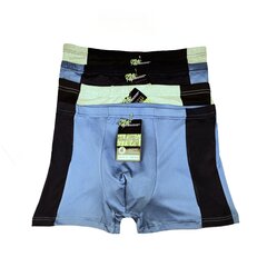 Комплект мужских шорт, 4 шт. цена и информация | Трусы | pigu.lt