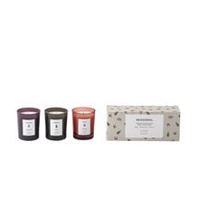 Bloomingville kvapiosios žvakės, 3 vnt. цена и информация | Подсвечники, свечи | pigu.lt