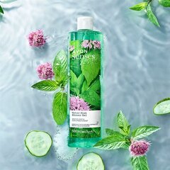 Гель для душа Water Mint с ароматом мяты и огурца, 500мл, Avon цена и информация | Масла, гели для душа | pigu.lt