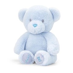 Мягкая игрушка Keel Toys Keeleco baby Bear мальчик синий, 20 см цена и информация | Мягкие игрушки | pigu.lt