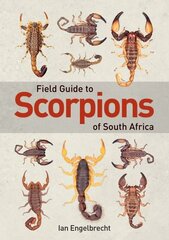 Field Guide to Scorpions of South Africa цена и информация | Книги о питании и здоровом образе жизни | pigu.lt