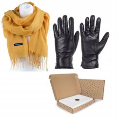 Подарочный набор для женщин - перчатки + шарф WYB_RKW11B-SZA-45 цена и информация | Женские перчатки | pigu.lt