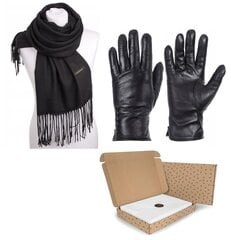 Подарочный набор для женщин - перчатки + шарф WYB_RKW11B-SZA-01 цена и информация | Женские перчатки | pigu.lt