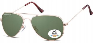 Мужские солнцезащитные очки UV Polarised Pilot Sunglasses Men's + Gratis MP94E цена и информация | Женские солнцезащитные очки | pigu.lt