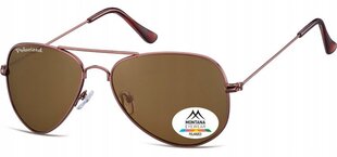 Мужские солнцезащитные очки UV Polarised Pilot Sunglasses Men's + Gratis MP94D цена и информация | Женские солнцезащитные очки | pigu.lt