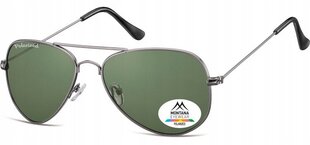 Мужские солнцезащитные очки UV Polarised Pilot Sunglasses Men's + Gratis MP94C цена и информация | Женские солнцезащитные очки | pigu.lt