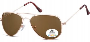 Мужские солнцезащитные очки UV Polarised Pilot Sunglasses Men's + Gratis MP94B цена и информация | Женские солнцезащитные очки | pigu.lt