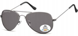 Мужские солнцезащитные очки UV Polarised Pilot Sunglasses Men's + Gratis MP94 цена и информация | Женские солнцезащитные очки | pigu.lt